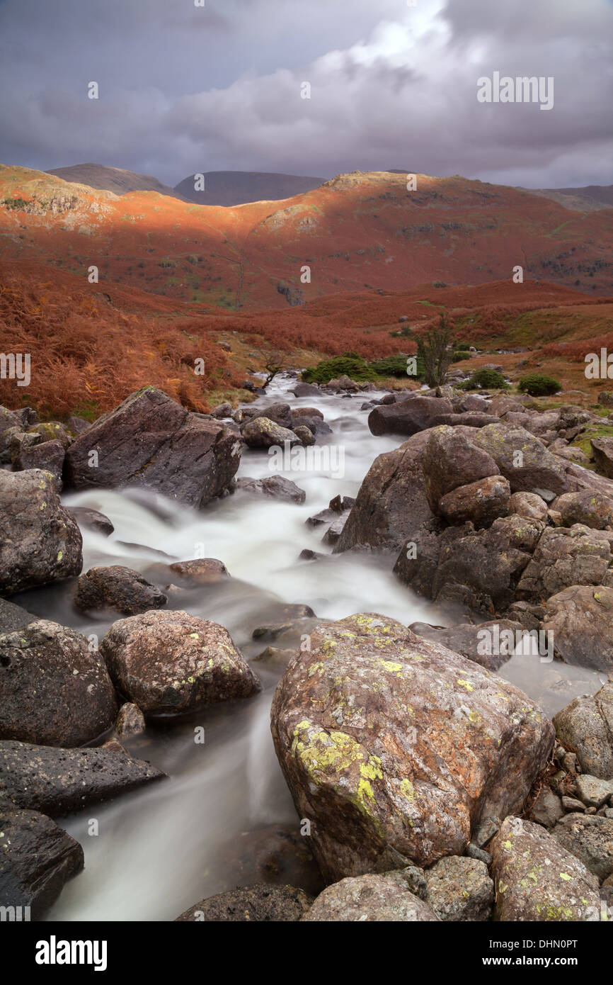 Rocky, boulder sembrado arroyo de montaña en el valle de Easedale, Lake District, RU Foto de stock