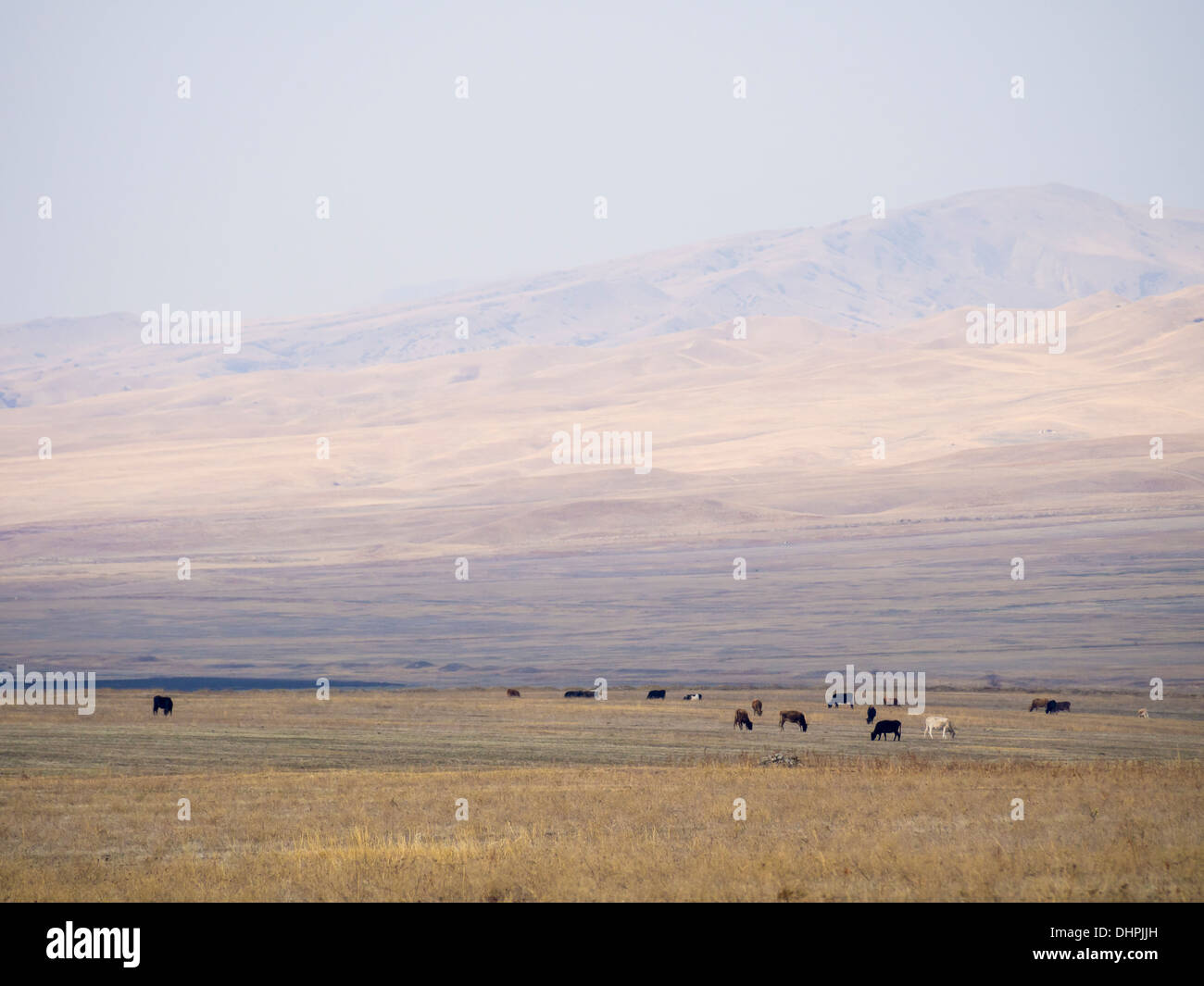 El paisaje de la región de Kakheti (cerca de David Gareja) de Georgia. Foto de stock
