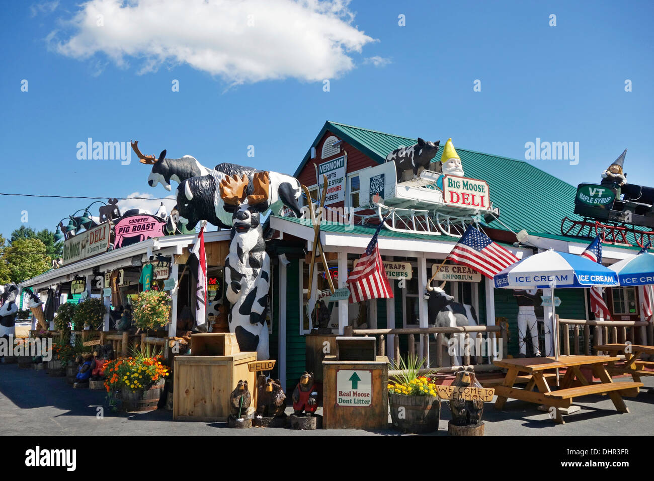 Big moose deli y Country Store en Hoosick falls VT Foto de stock
