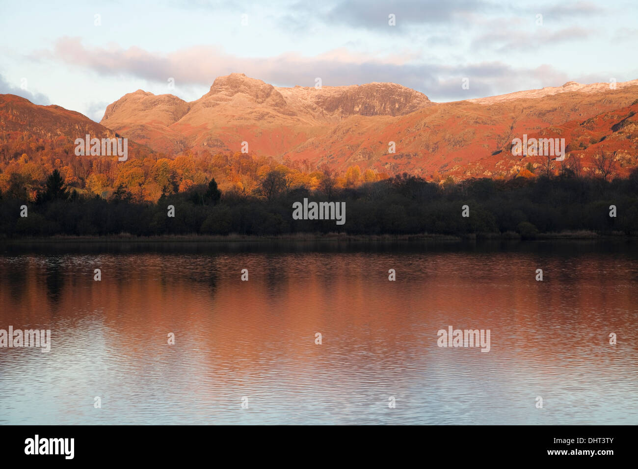 Langdale Pikes se reflejó en Elter Water Lake, Cumbria, Reino Unido Foto de stock