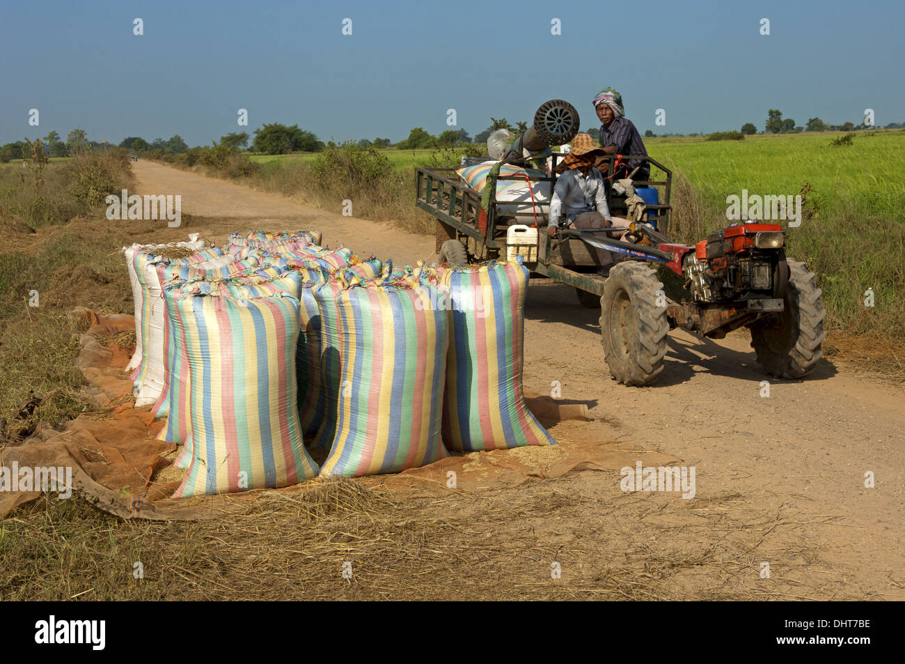 Abultamiento de sacos de arroz por la carretera, Camboya Foto de stock