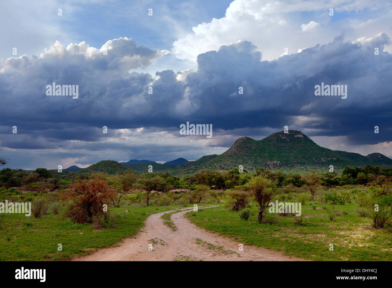 Reserva Nacional de Samburu, Kenia Foto de stock