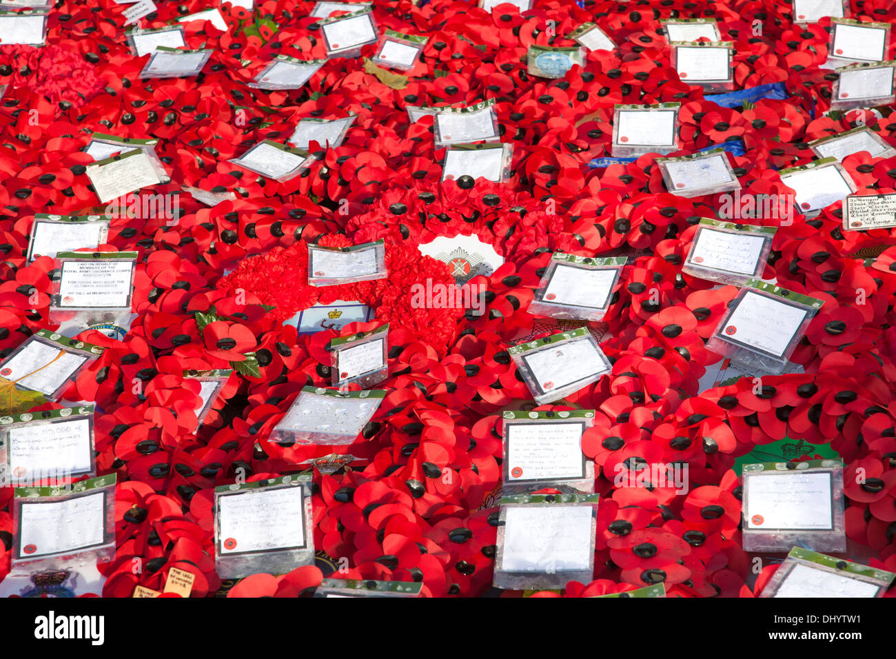 Día del Recuerdo amapola ofrendas florales en el cenotafio, Whitehall, Westminster, Londres. Foto de stock
