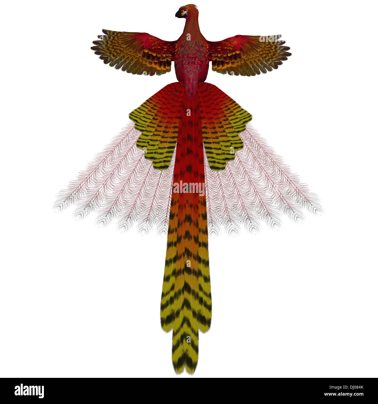 El Phoenix firebird es un símbolo mítico de la regeneración o renovación de la vida. Foto de stock