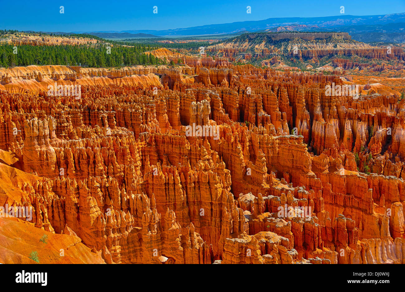 El extraordinario anfiteatro de rocas en el Parque Nacional Bryce Canyon en Utah, EE.UU. Foto de stock