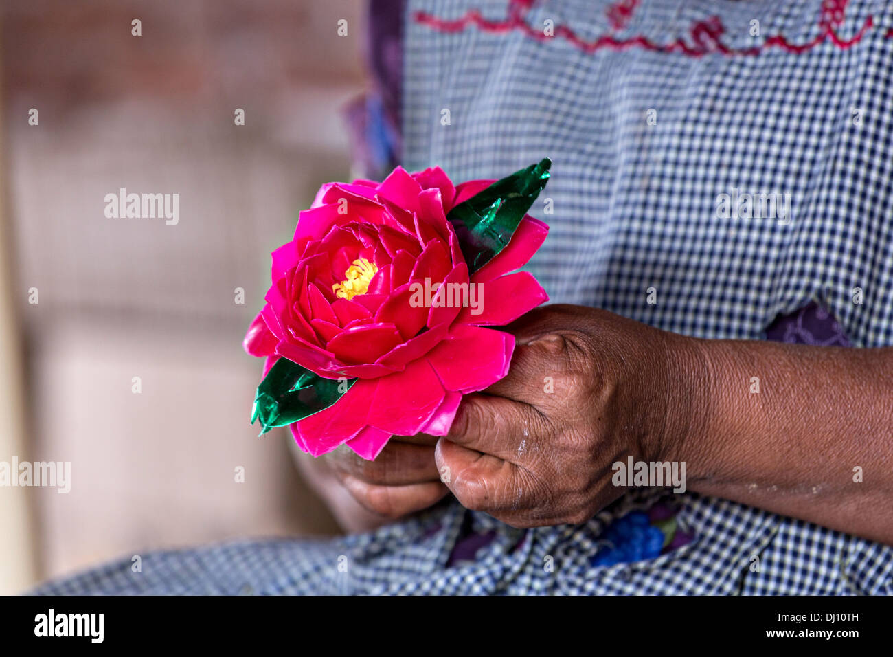 Mujer zapoteca cera de abejas flores fotografías e imágenes de alta resolución - Alamy Mujer zapoteca cera de abejas flores fotografías e imágenes de alta resolución - Alamy