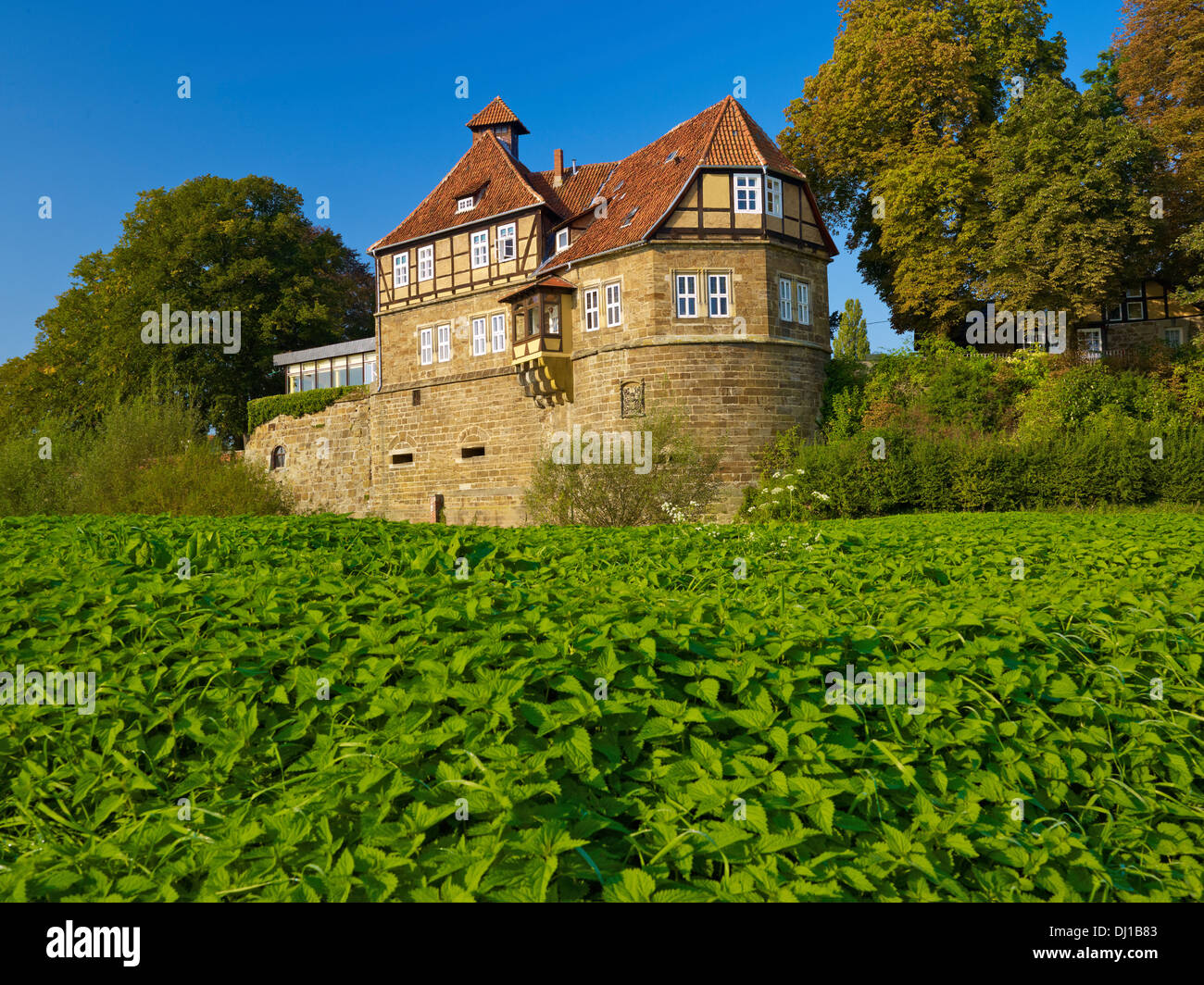 Castillo Petershagen, Minden, Renania del Norte-Westfalia, Alemania Foto de stock