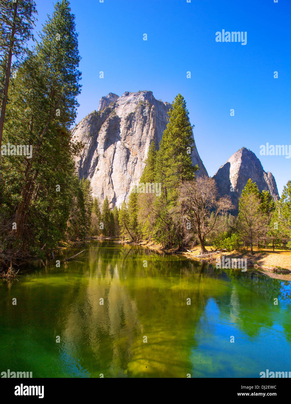 Río Merced y Yosemite Half Dome en Parques Nacionales de California US Foto de stock