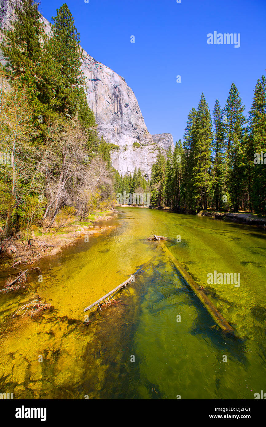 Yosemite río Merced y el Capitan en Parques Nacionales de California US Foto de stock