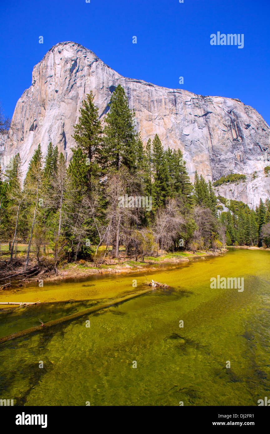 Yosemite río Merced y el Capitan en Parques Nacionales de California US Foto de stock