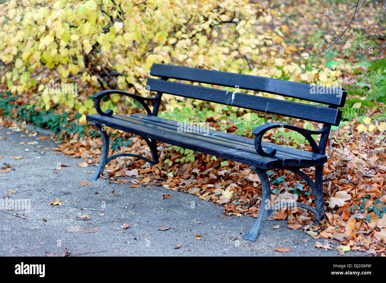 Banco del parque otoño empiness solitaria soledad nostalgia nostalgia Foto de stock