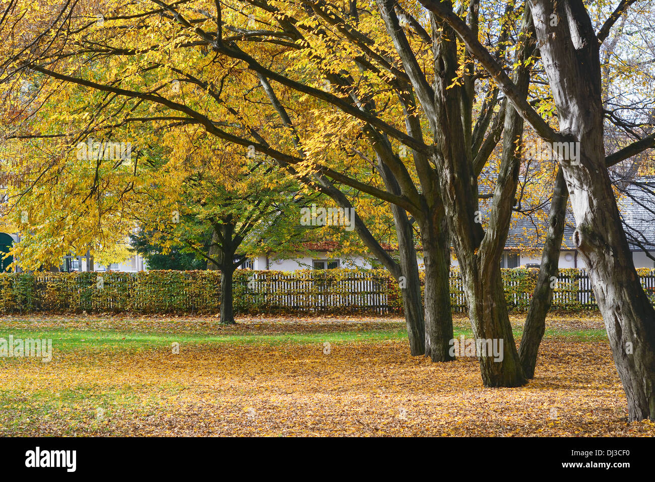 Casa de campo entre los vibrantes colores de otoño Foto de stock