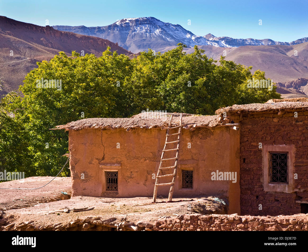 Pueblo bereber en el fértil valle de Tessaout en el M'Goun región de Marruecos Foto de stock