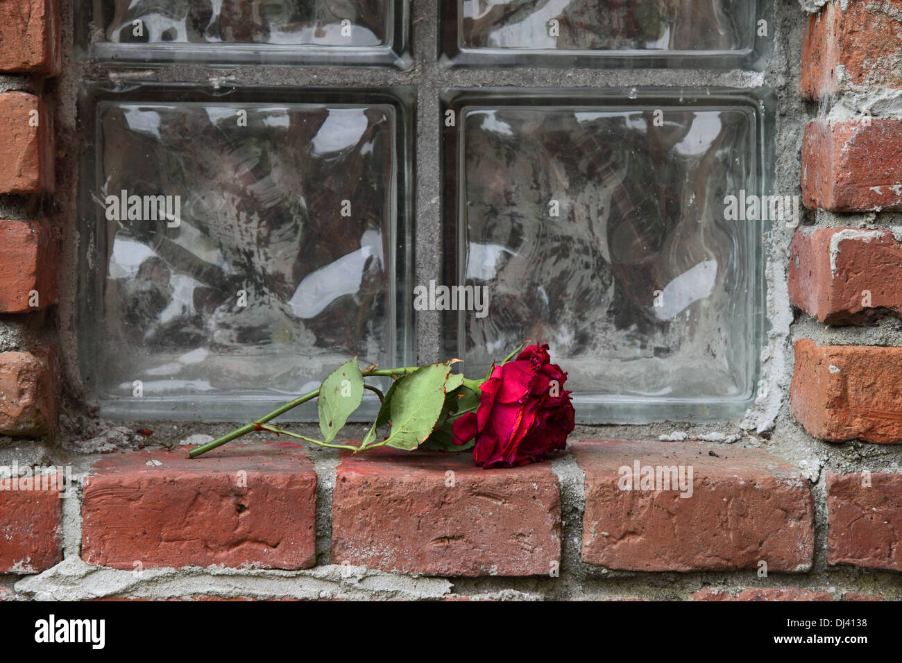 Amor olvidado fotografías e imágenes de alta resolución - Alamy