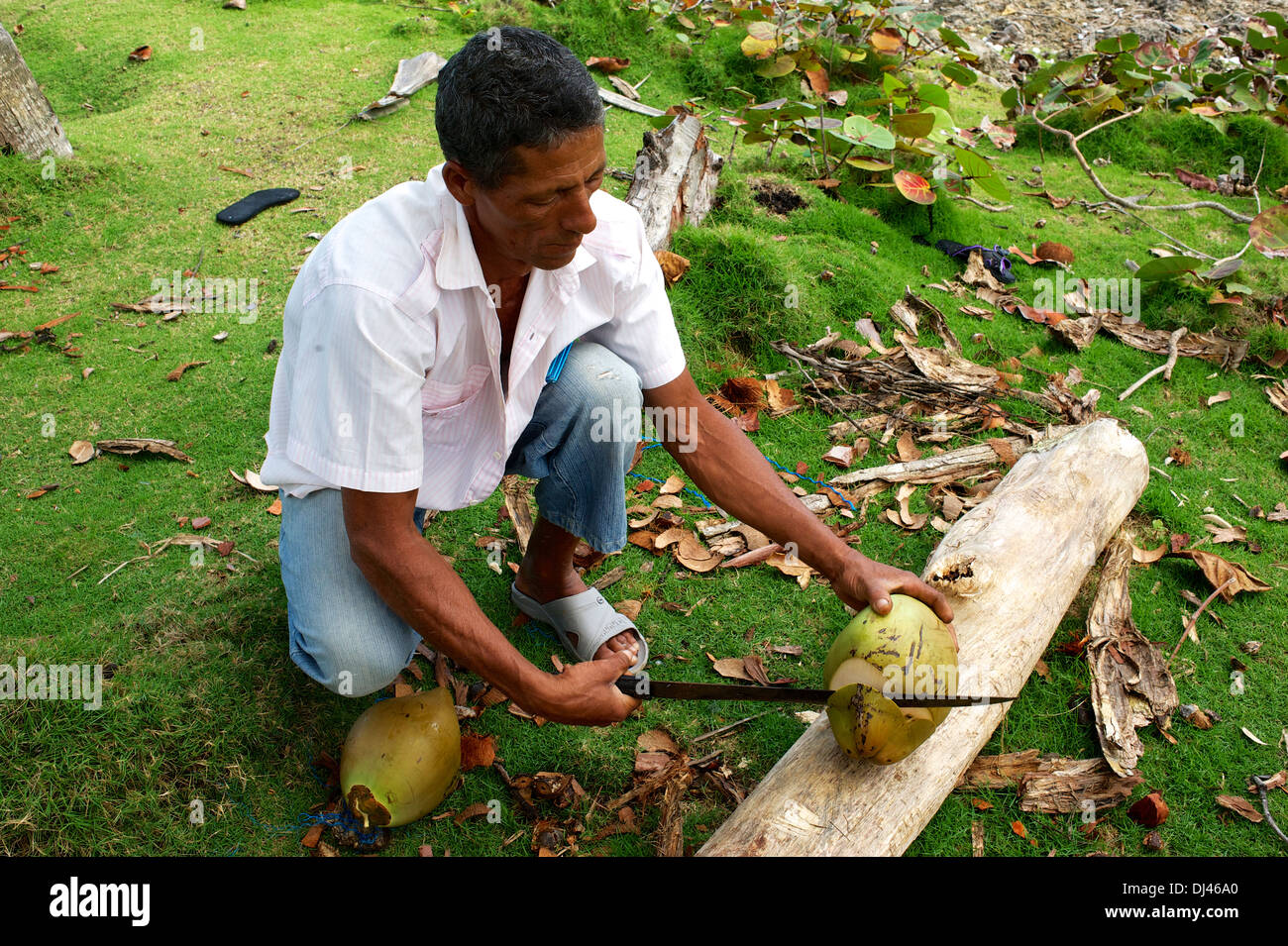 Abrir un coco cerca de Baracoa, Cuba Foto de stock
