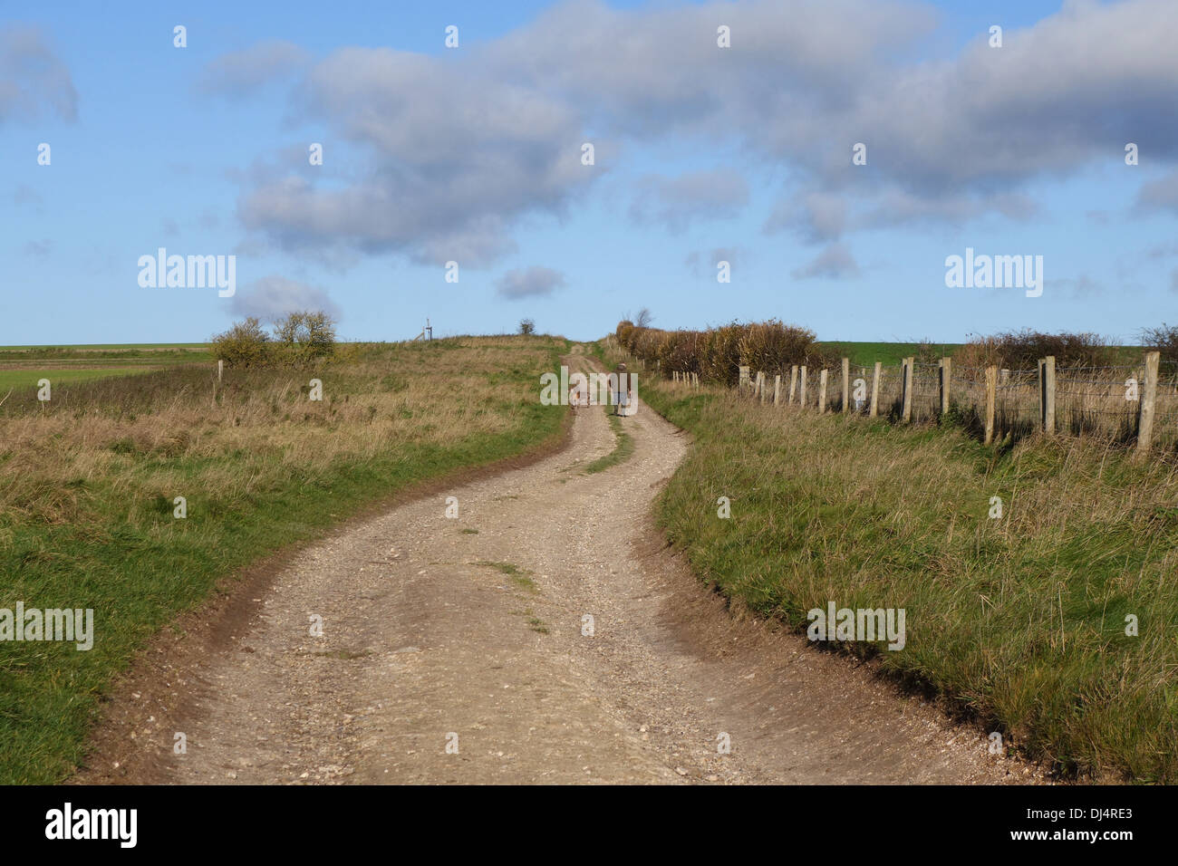 El sendero nacional Ridgeway, cerca de Avebury, Wiltshire, Inglaterra, Reino Unido Foto de stock