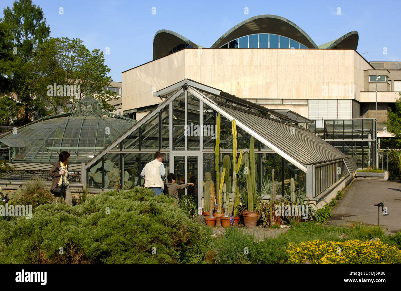 Jardín botánico de la Universidad de Basilea Foto de stock