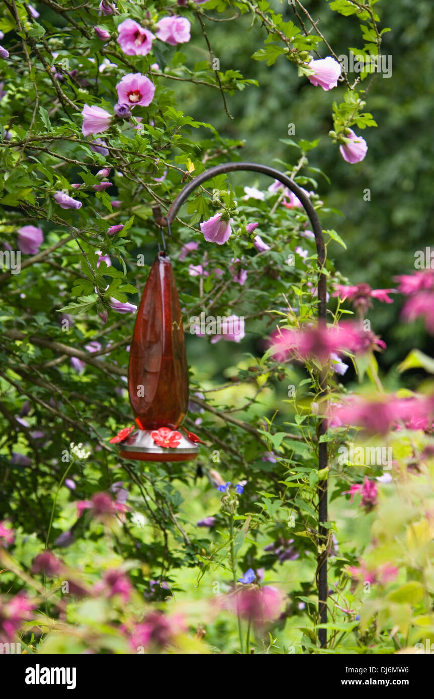 Alimentador de colibrí en el jardín Foto de stock