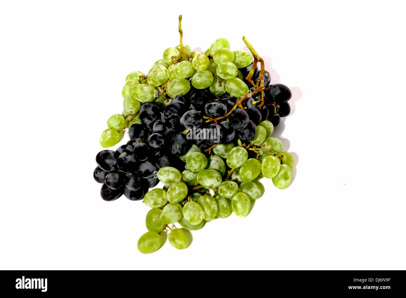 Racimo de uvas de color azul oscuro, racimos de uvas blancas, bodegón, синего гроздь винограда, белого гроздья винограда, натюрморт Foto de stock