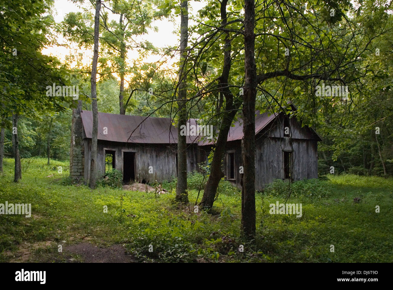 Antigua casa que están siendo reclamados por la naturaleza en Hart County, Kentucky Foto de stock