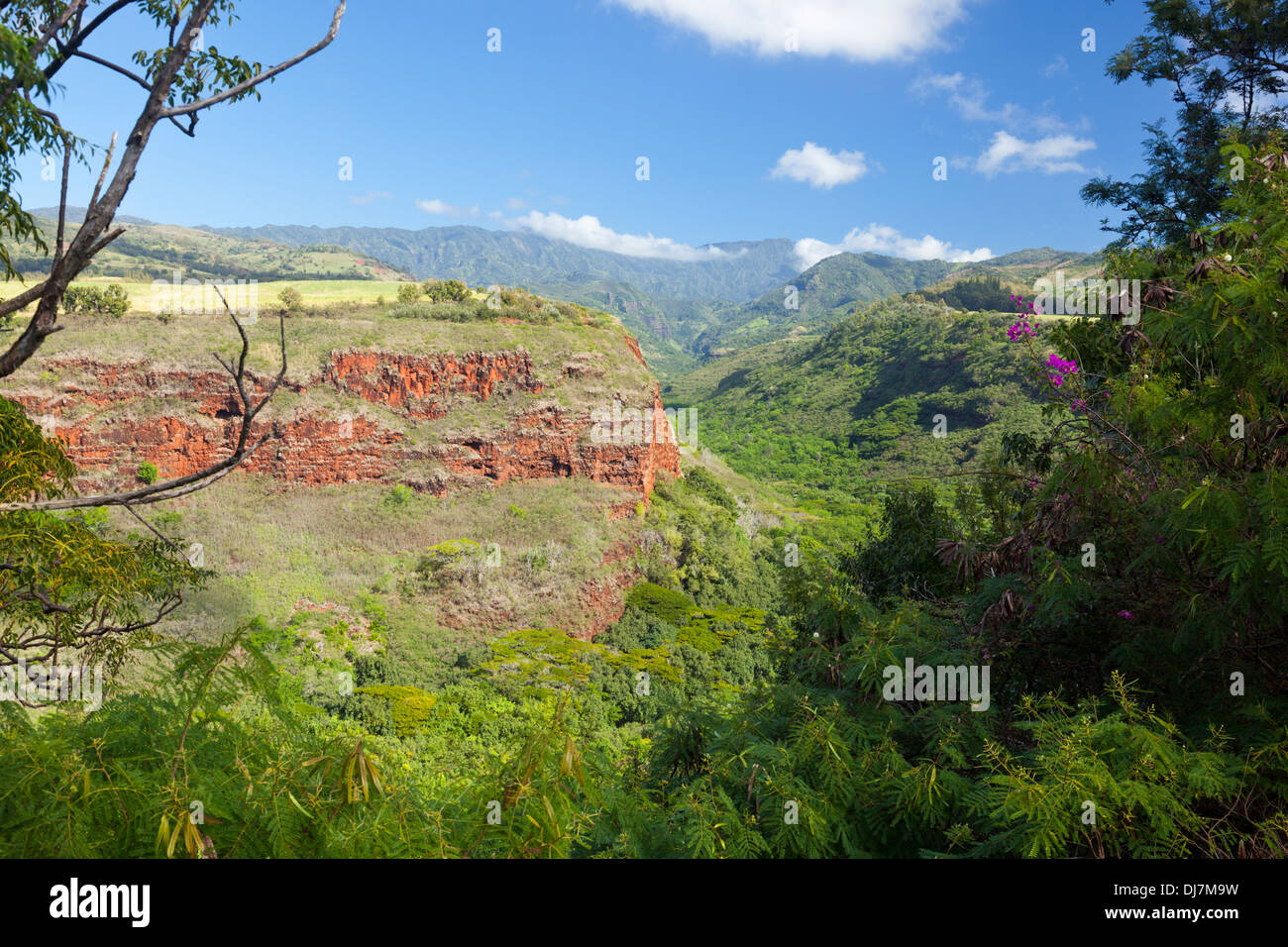 Cañón Hanapepe Valley View de Kauai, Hawaii. Foto de stock