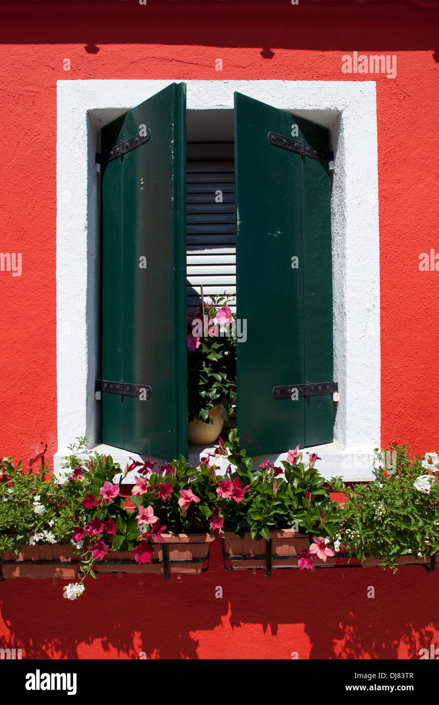 Contraventanas de color verde oscuro en una pared exterior de color rojo  brillante de la casa tradicional en la isla de Burano. Italia Fotografía de  stock - Alamy