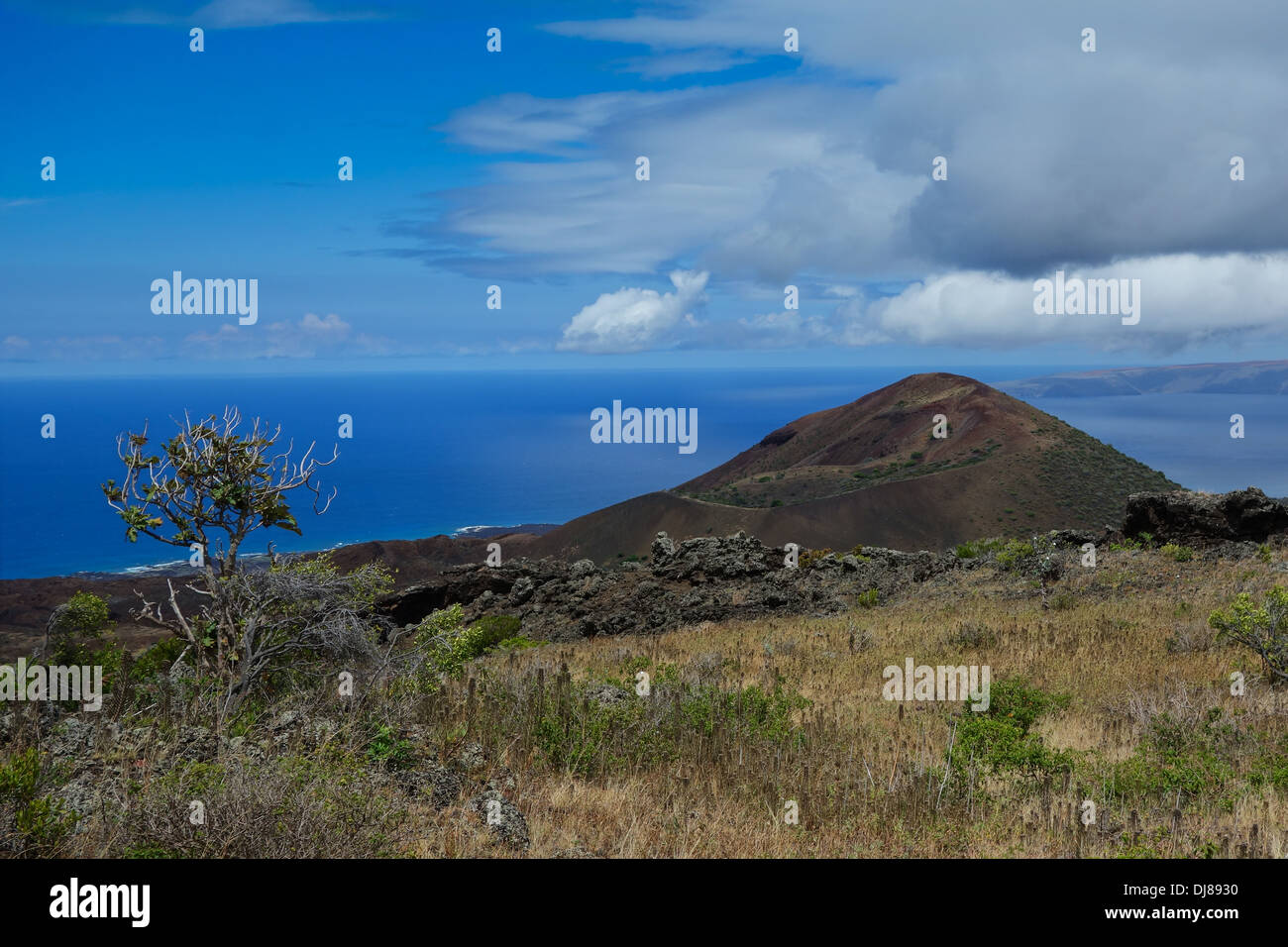 Un cono de escoria reciente en la isla de Maui, mirando hacia la bahía Parouse Foto de stock