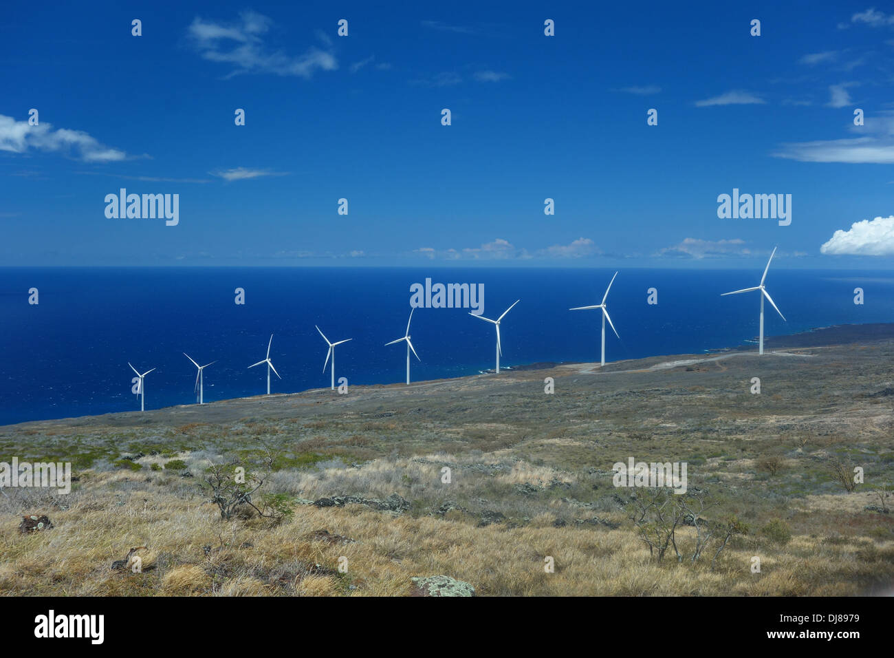 Un pequeño parque eólico de generación de energía limpia en la costa sur de Maui Foto de stock