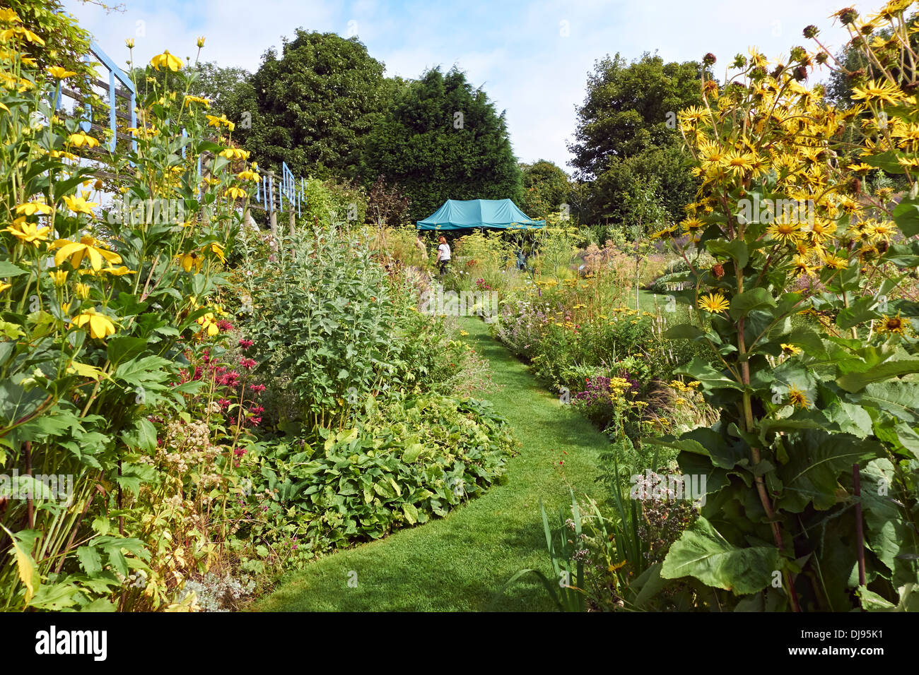 English Country Garden, parterres con césped Ruta, Inglaterra, Reino Unido. Foto de stock