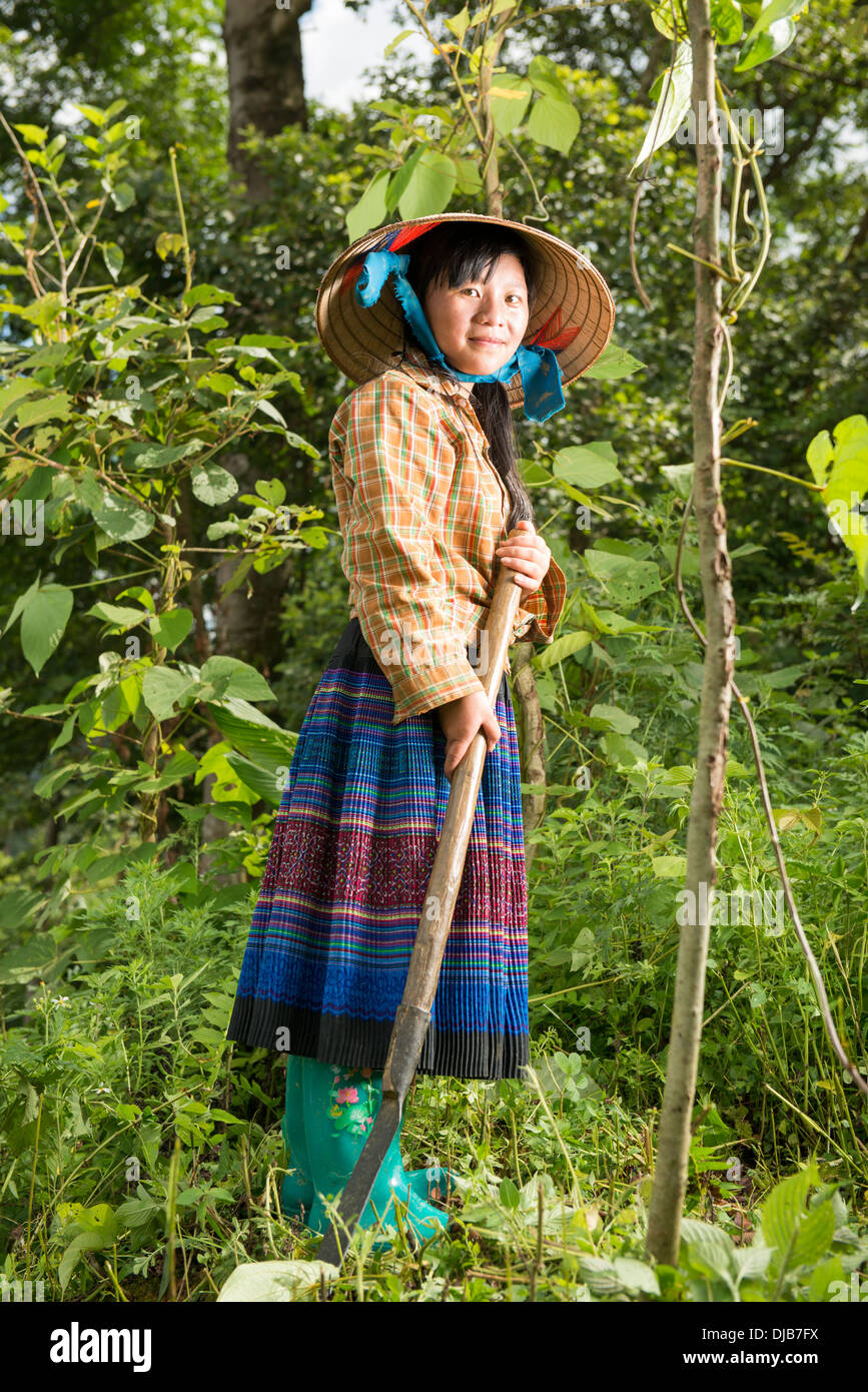 Grupo de la minoría Hmong Flor chica ayuda al hecho de maíz en la granja hill, Bac Ha, Lao Cai, Vietnam Foto de stock