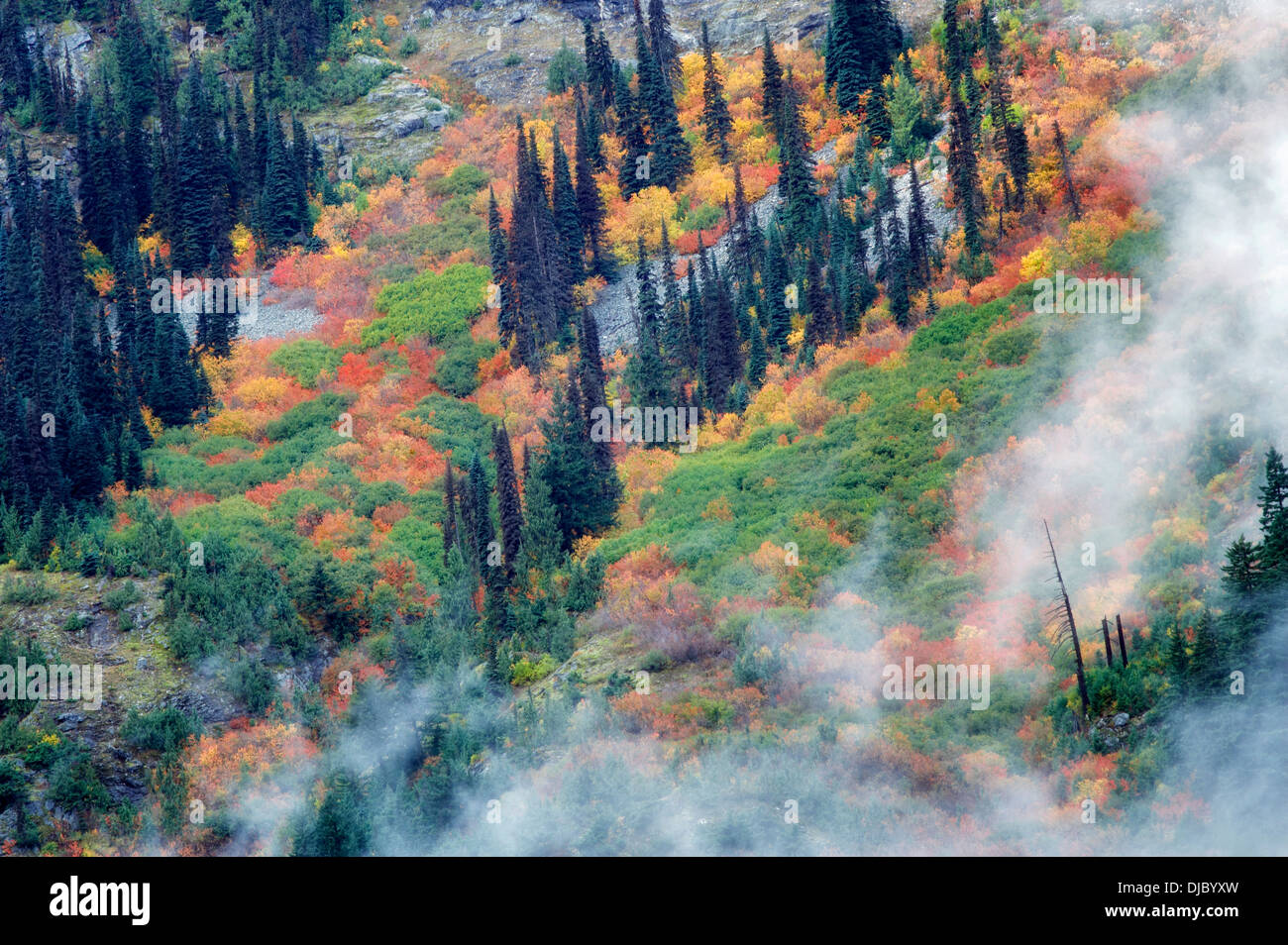 Color en el otoño y nubes bajas. Parque Nacional Cascadas del Norte. Washington Foto de stock