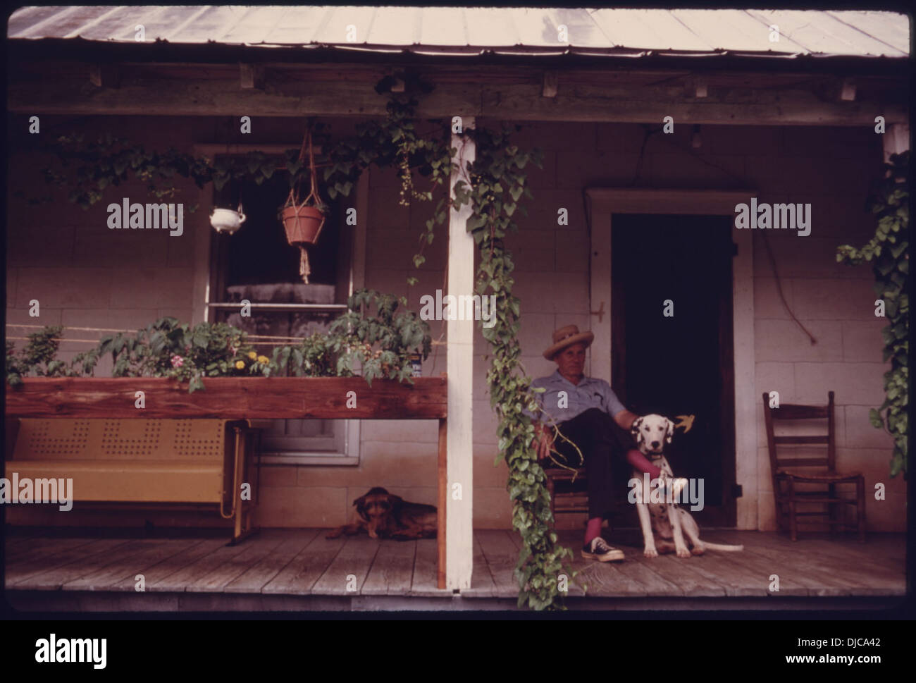 BILL VANDIVER y sus perros en el porche de su casa fuera de la Richard Russell Scenic Highway (ruta 356) en . 761. Foto de stock