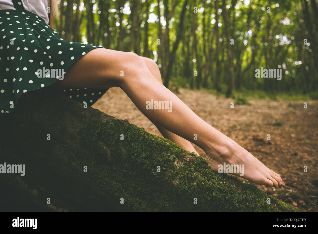 Las piernas de una mujer vistiendo una falda punteado sentado en el árbol Foto de stock