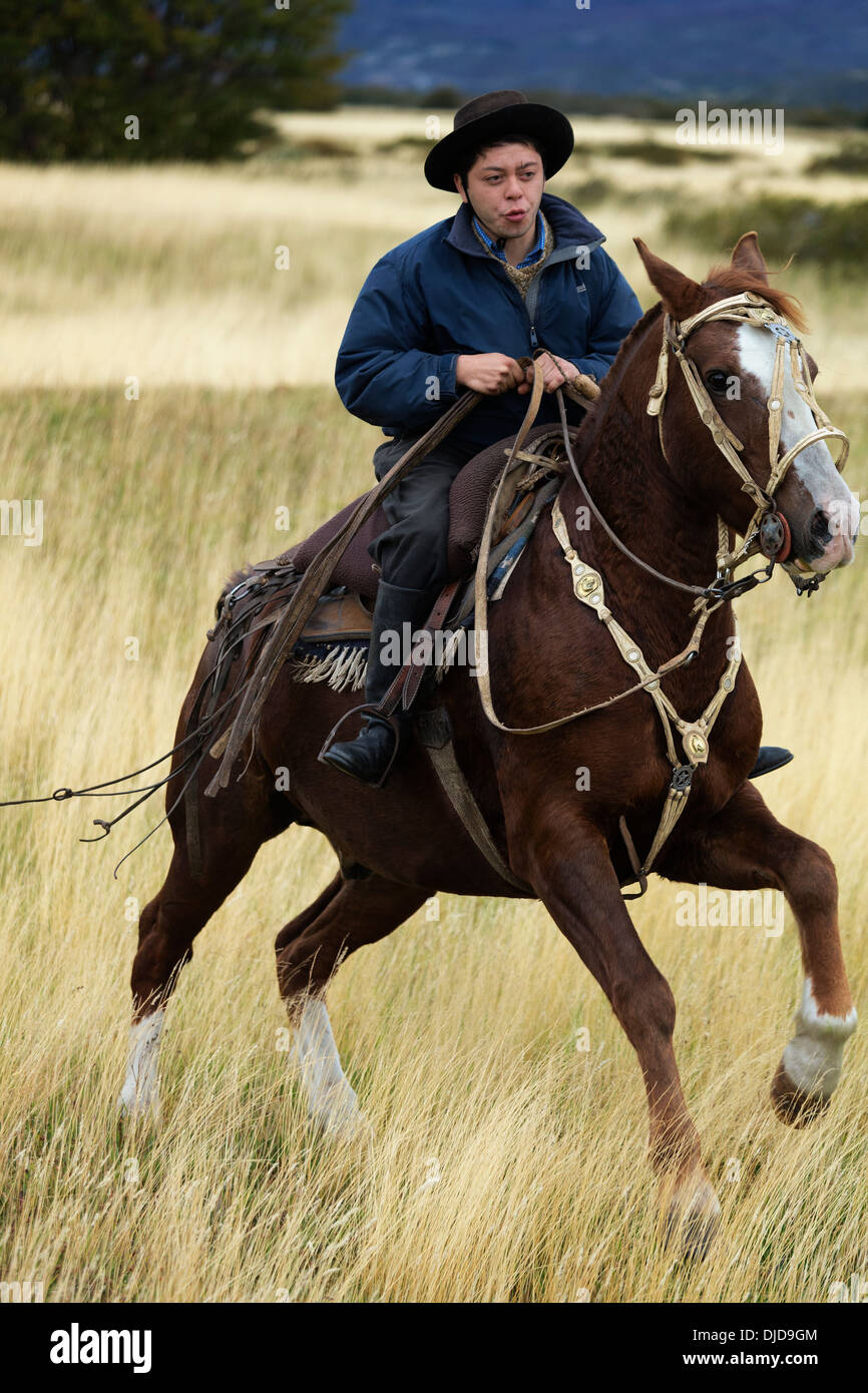 Gaucho montando su caballo.Patagonia.Chile Foto de stock