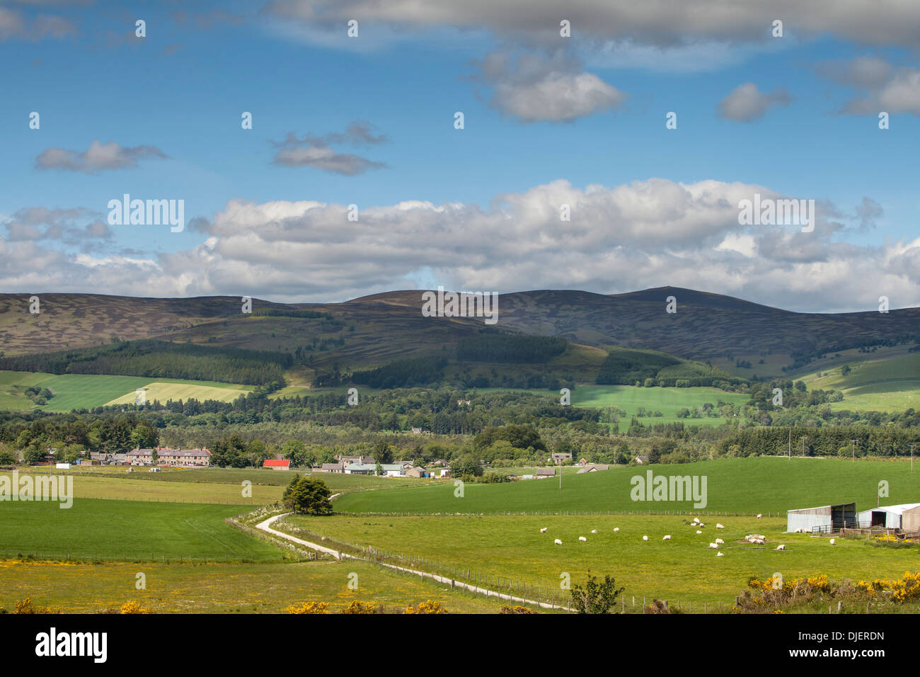 Lumsden fotografías e imágenes de alta resolución Alamy