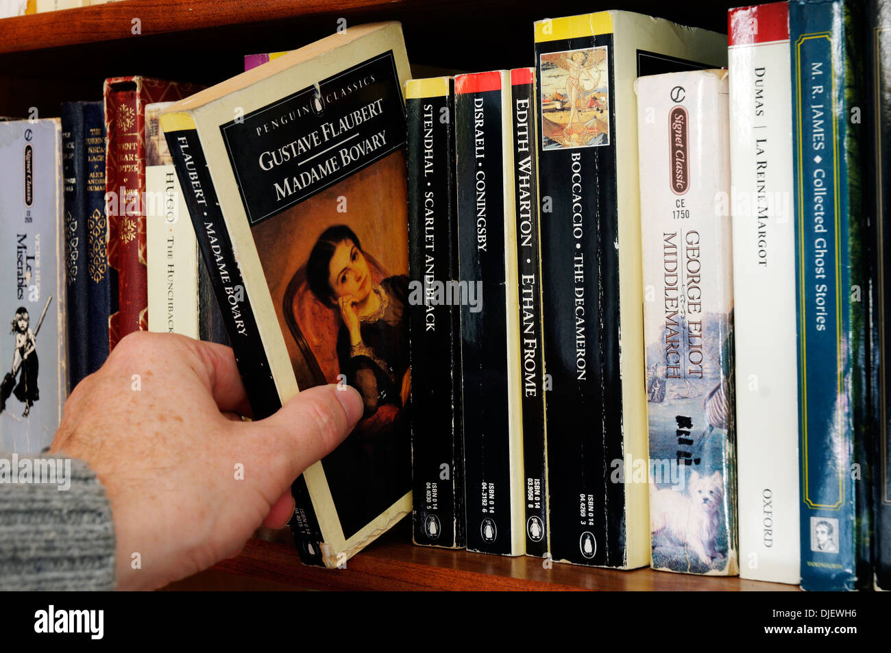 Una mano tomando Gustave Flaubert Madame Bovary desde una estantería Foto de stock