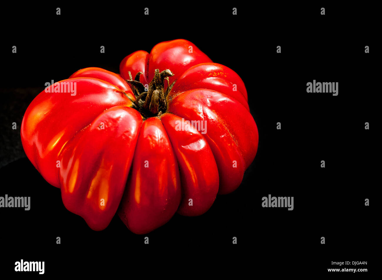 Grande y corazón de res tomate rojo sobre fondo negro Foto de stock