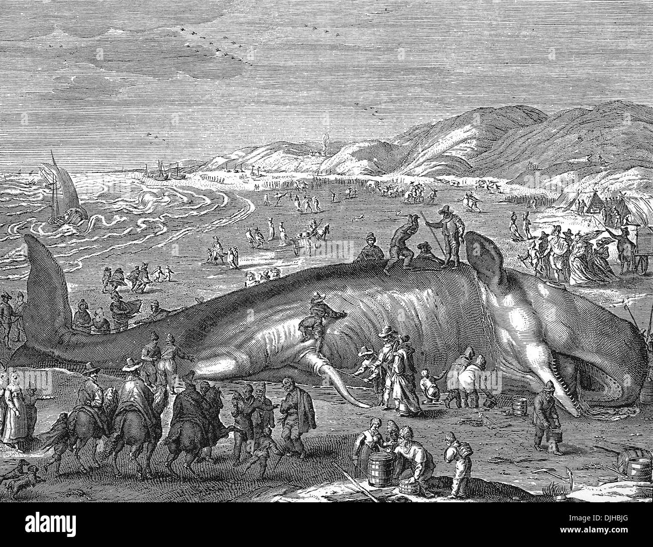 Folleto neerlandés, imagen de una ballena varado, 1598 Foto de stock