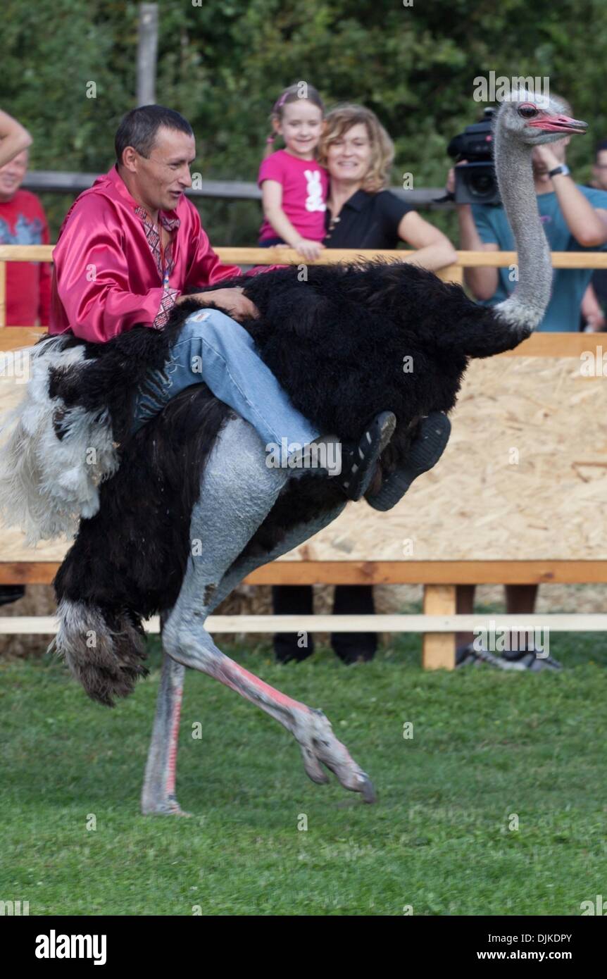 Septiembre 4, 2010 - Kiev, Ucrania - un hombre monta un avestruz durante  una carrera de avestruces en una granja. (Crédito de la Imagen: ©  PhotoXpress/ZUMApress.com Fotografía de stock - Alamy