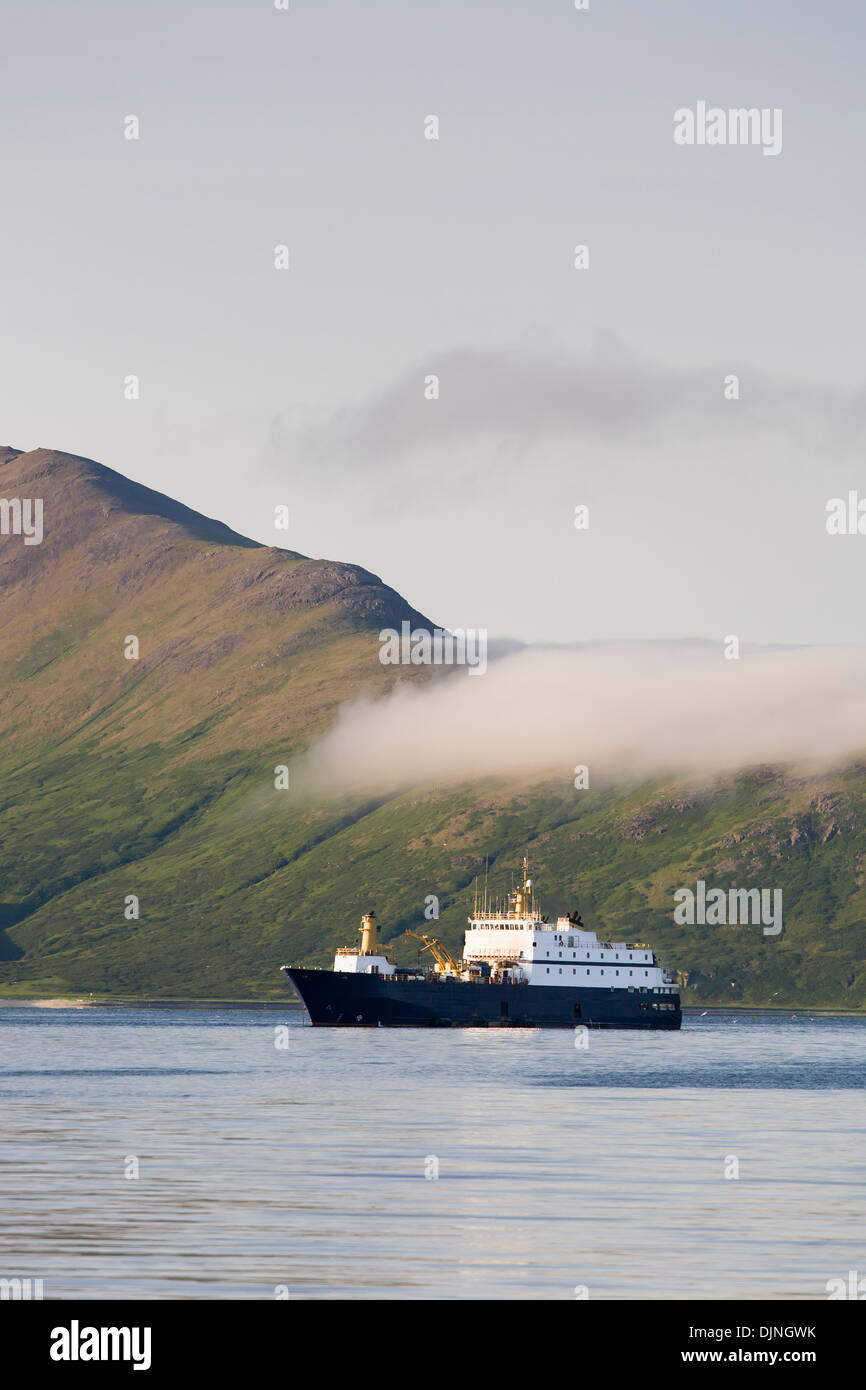 El mar estelar, un procesador de marisco flotante, anclado cerca de King Cove, la península de Alaska, en el suroeste de Alaska, en verano. Foto de stock