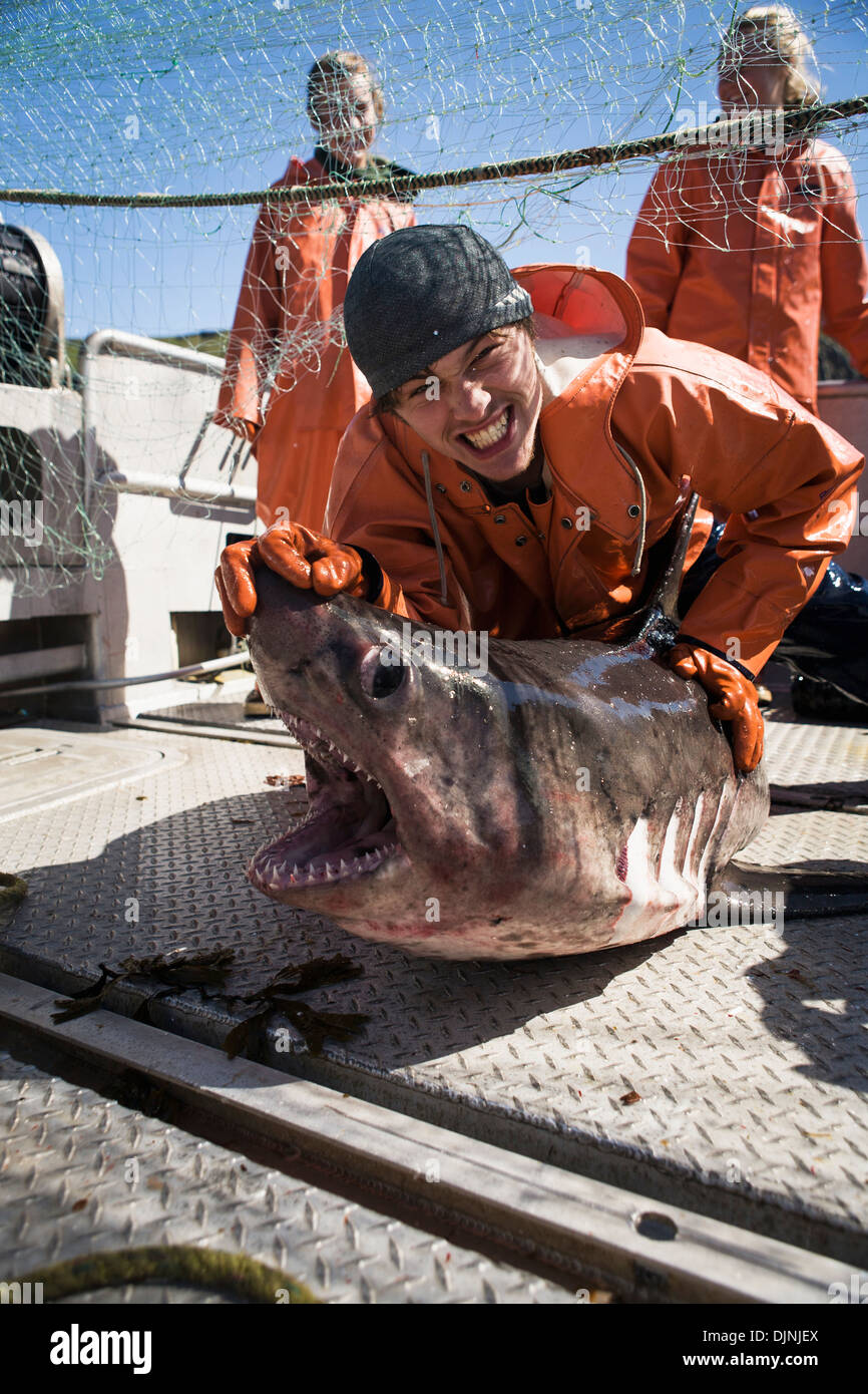 Un tiburón salmón capturado mientras la pesca del salmón en el Departamento de Pesca y Caza de Alaska 'zona de la península de Alaska' Foto de stock