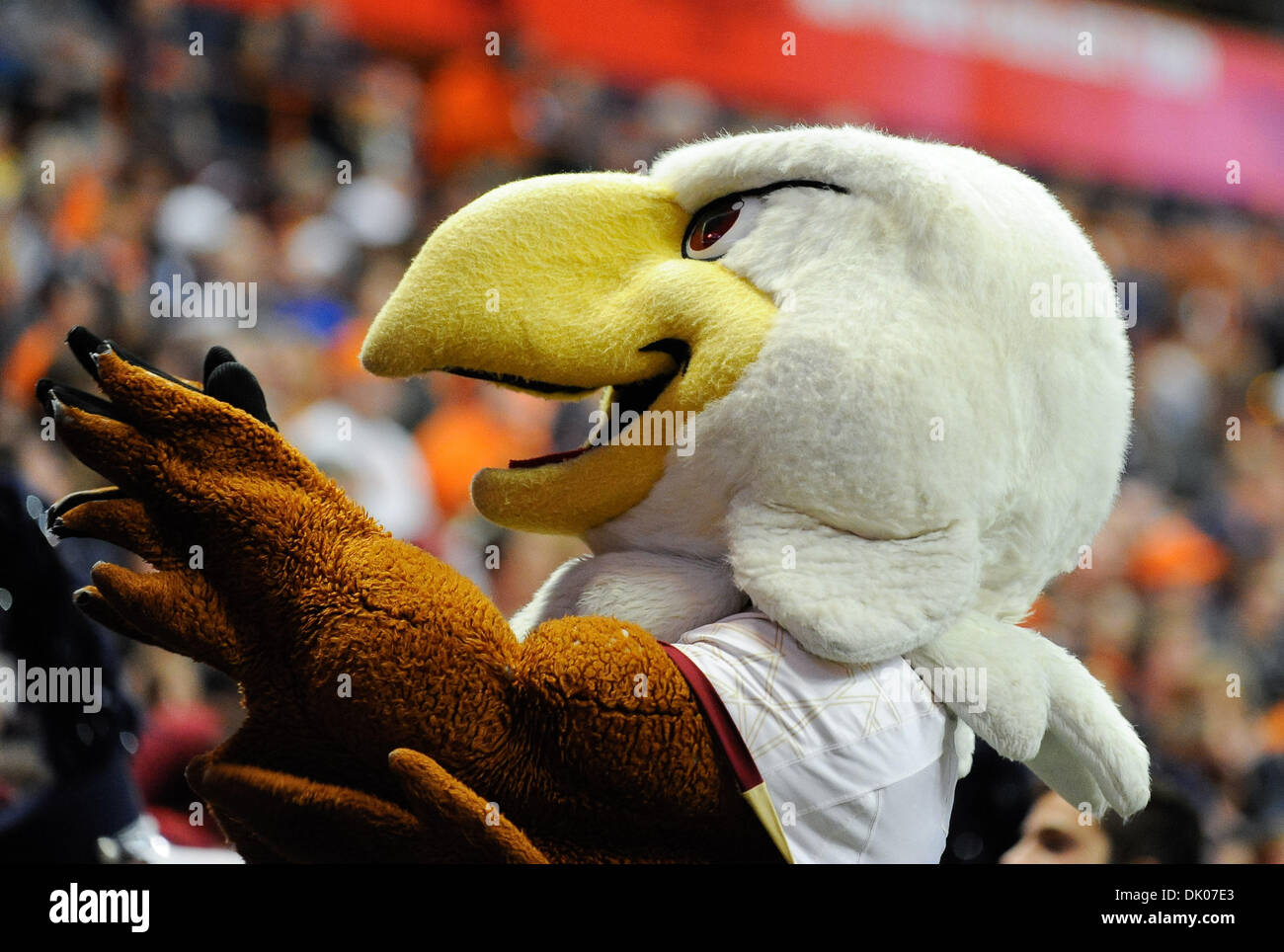 Mascota del águila fotografías e imágenes de alta resolución - Alamy