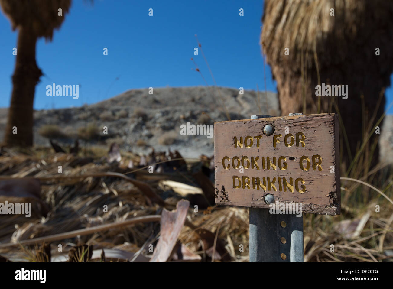 Un cartel indica a los visitantes que la primavera el agua no es potable en 17 palmeras Oasis, Anza Borrego Desert State Park, California. Foto de stock