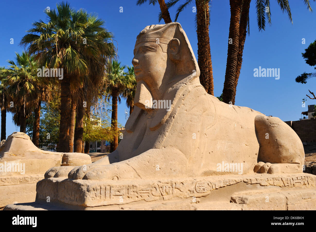 Forro Sphinx causeway conduce al Templo de Luxor - Luxor, Egipto Foto de stock