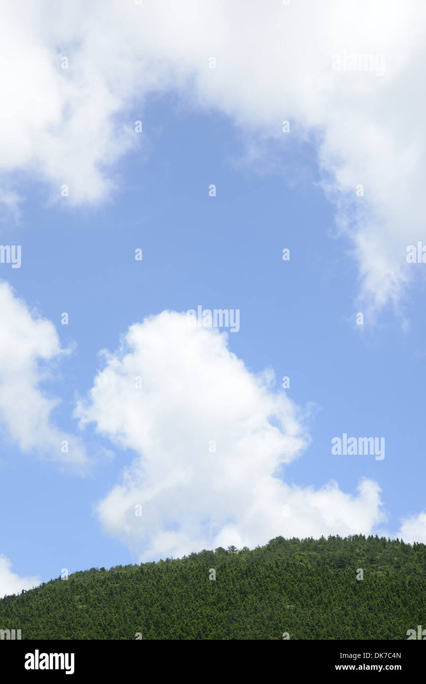 Cielo azul claro y verde con margen de montaña Foto de stock