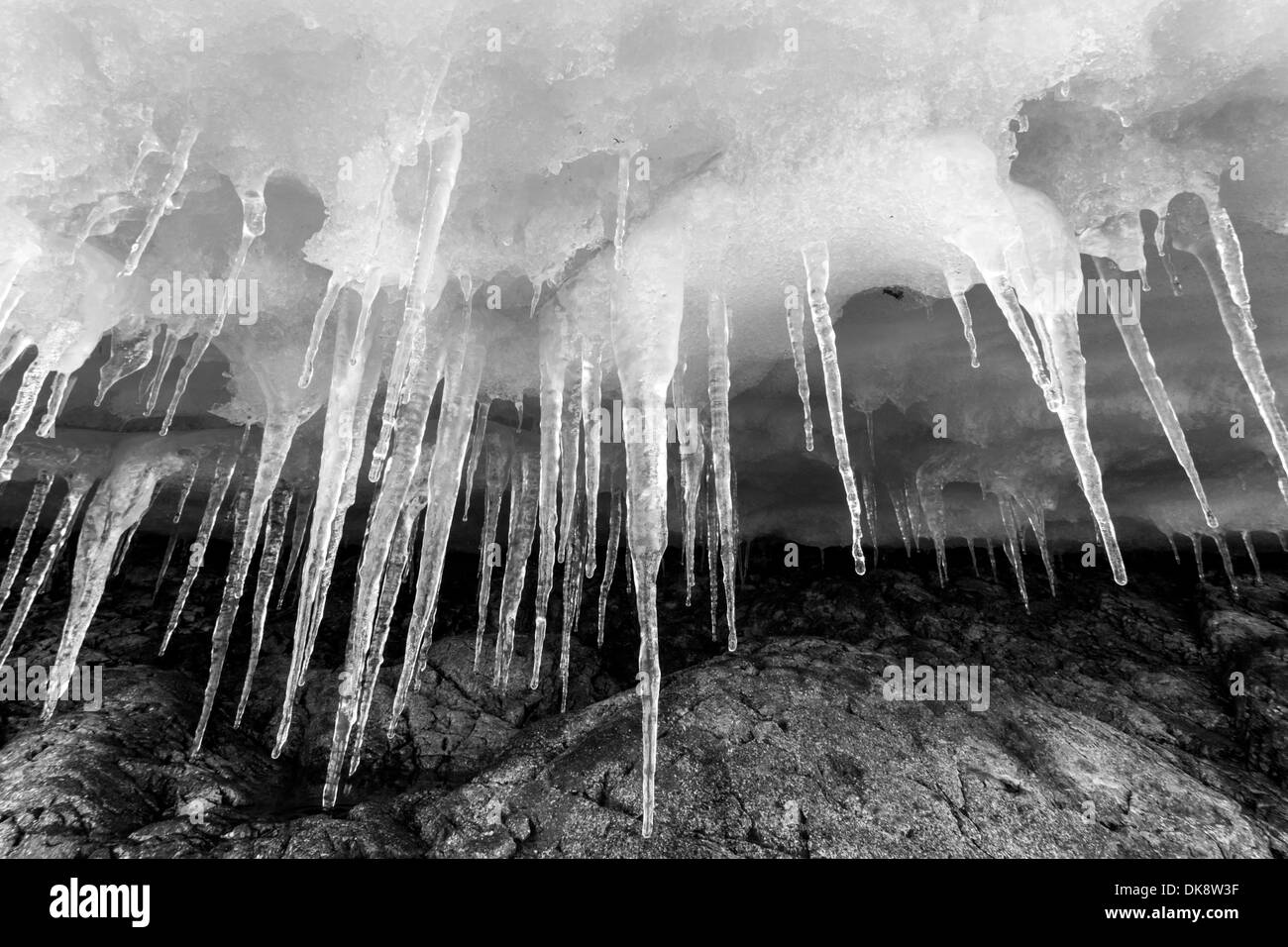 La Antártida, Isla Cuverville, carámbanos cuelgan del techo de hielo a lo largo de costa Foto de stock