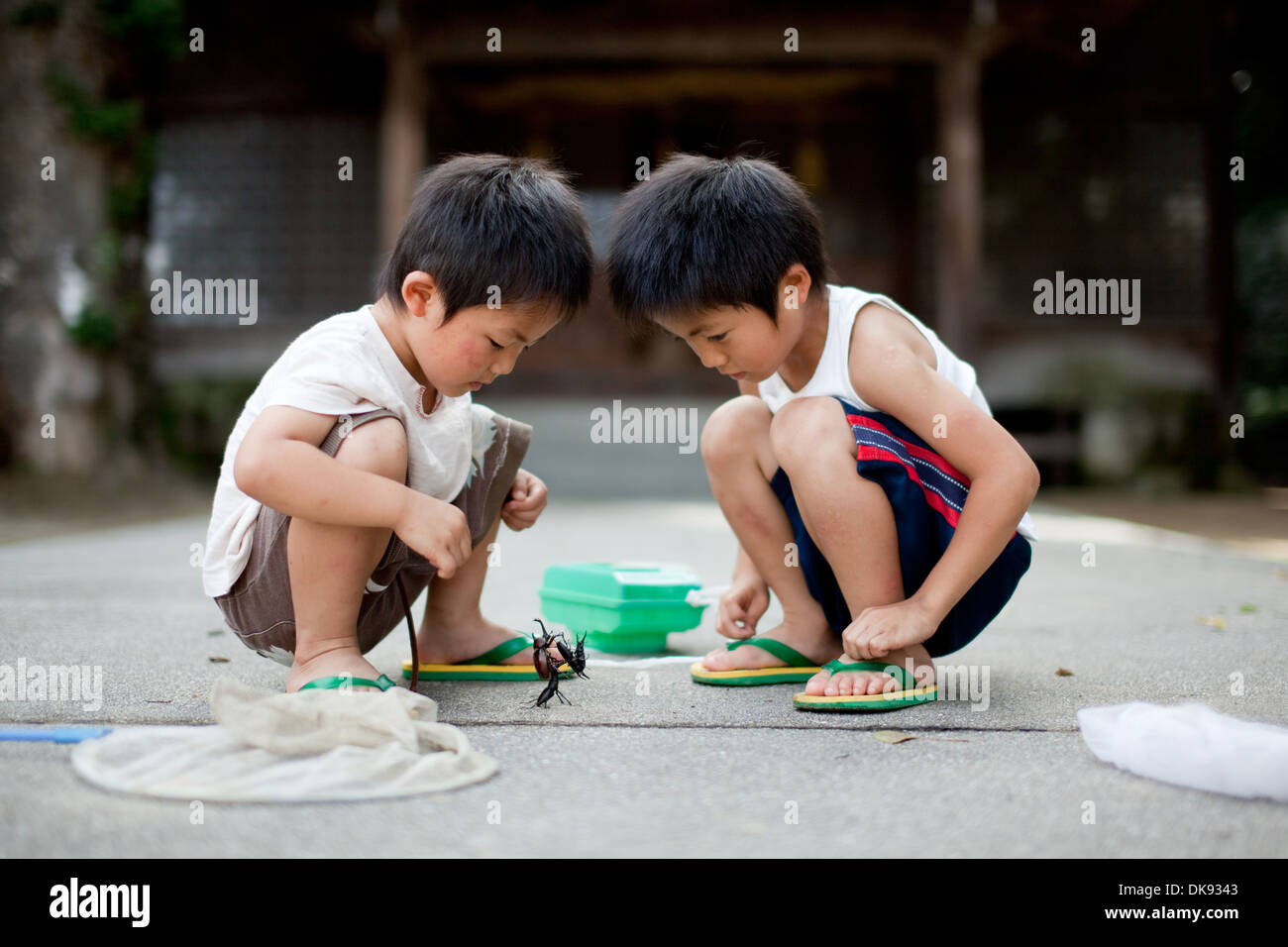 Los niños japoneses en el campo Foto de stock