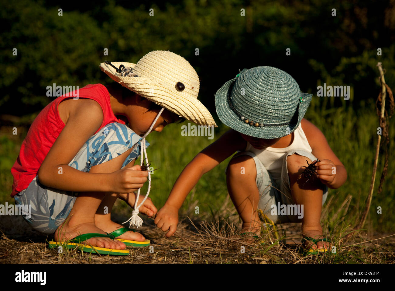 Los niños japoneses en el campo Foto de stock