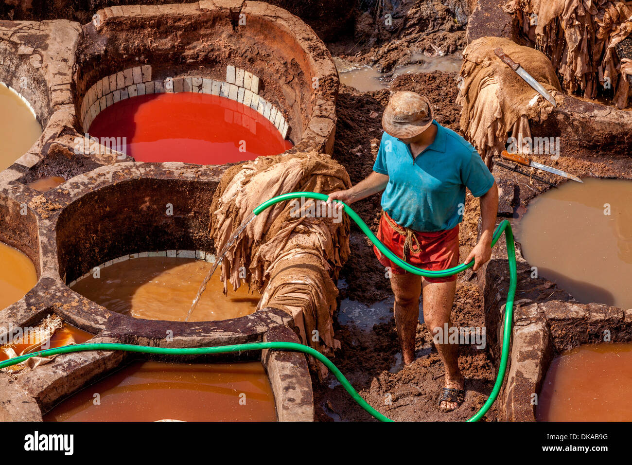 La curtiduría Chouwara (Chouara), la Medina de Fez, Marruecos Foto de stock