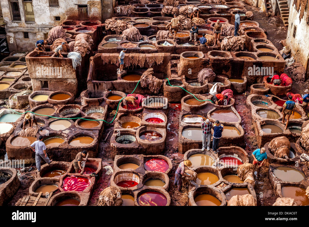 La curtiduría Chouwara (Chouara), la Medina de Fez, Marruecos Foto de stock